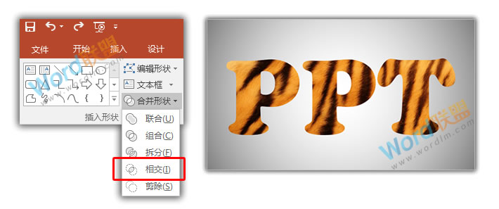 毛茸茸的字体 | PPT打造虎皮字体